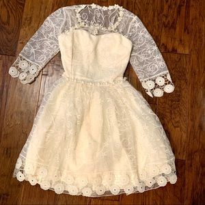 Lace mesh long sleeve fit and flare dress